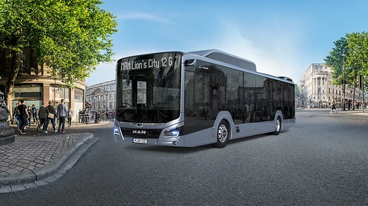 Перейти до Man Lion\'s City G